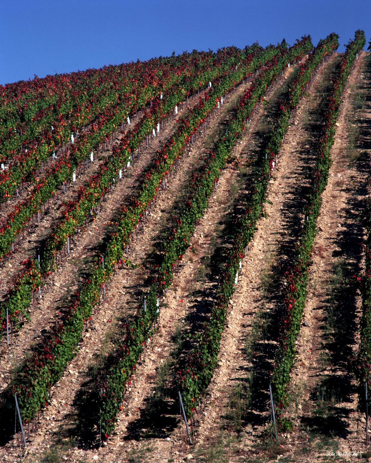 [QtÂª+do+Silval.jpg]