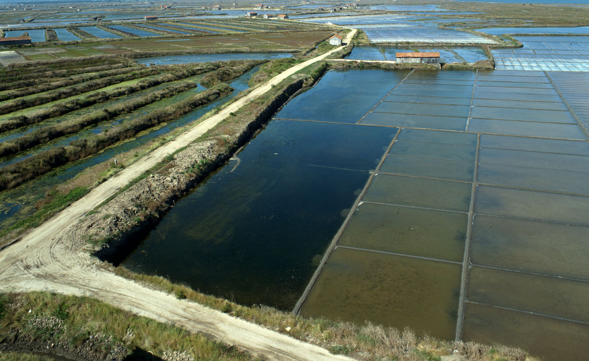 [SALINAS+da+FIGUEIRA+.jpg]