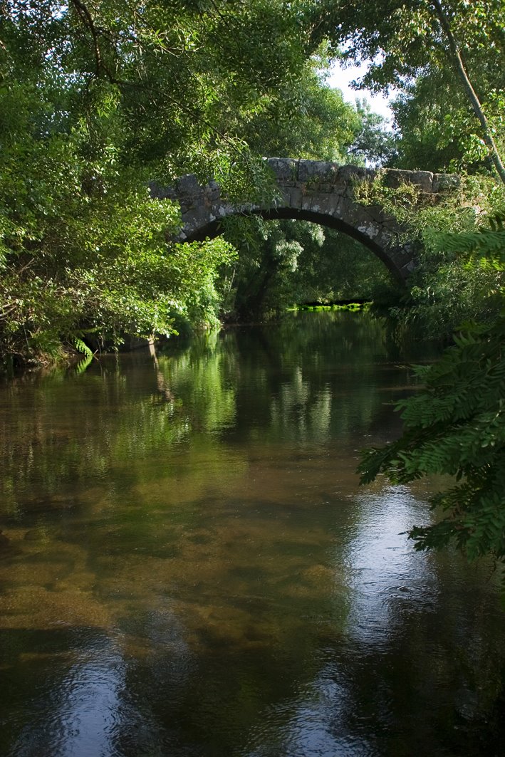 [Ponte+no+Coura.jpg]