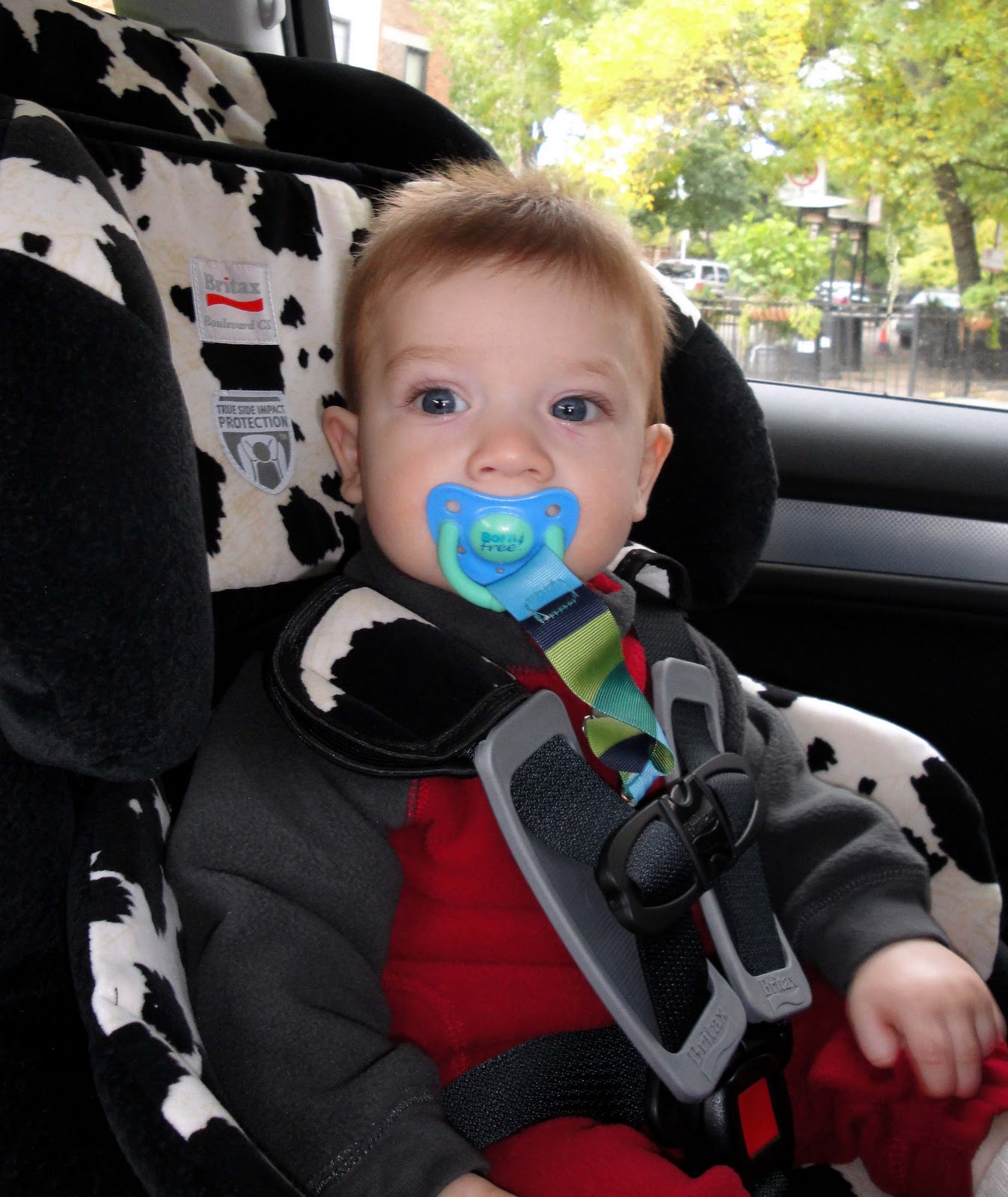 CHAMP'S FAMILY Graduated to the big boy car seat!