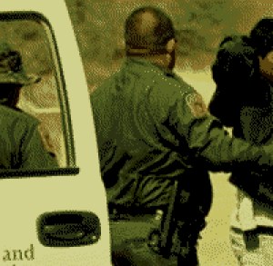 [090129-illegal.jpg]