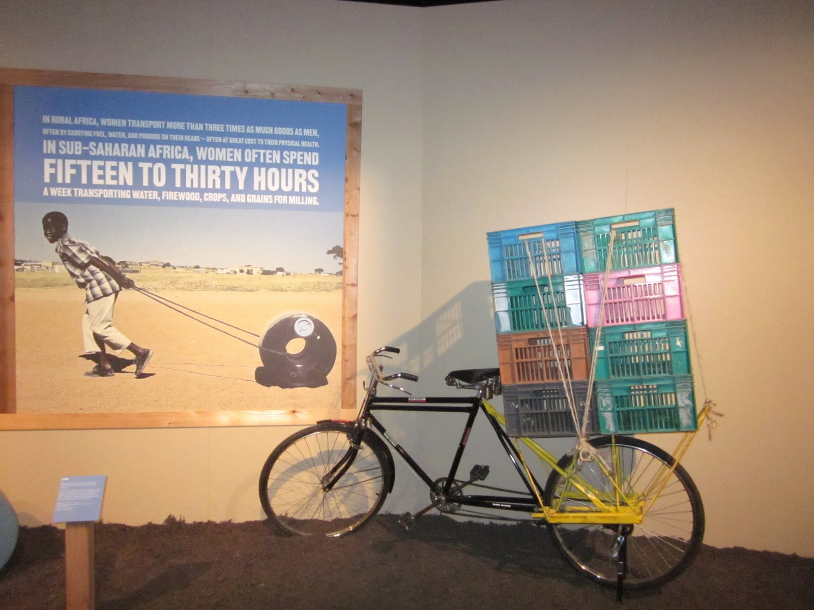 Washington Academic Internship Program National Geographic Museum