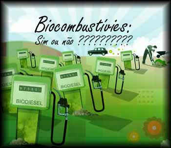 [biocombustíveis.jpg]