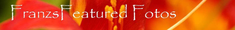 FranzsFeaturedFotos