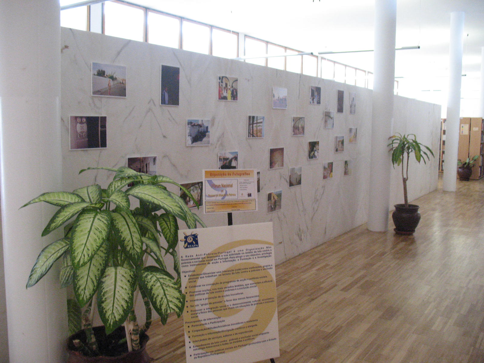 [ALVITO+FOTOS+015.jpg]