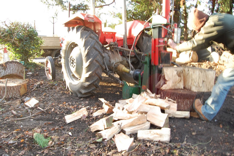 hardwood logs £55.00 per cubic meter