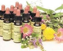 florais de bach