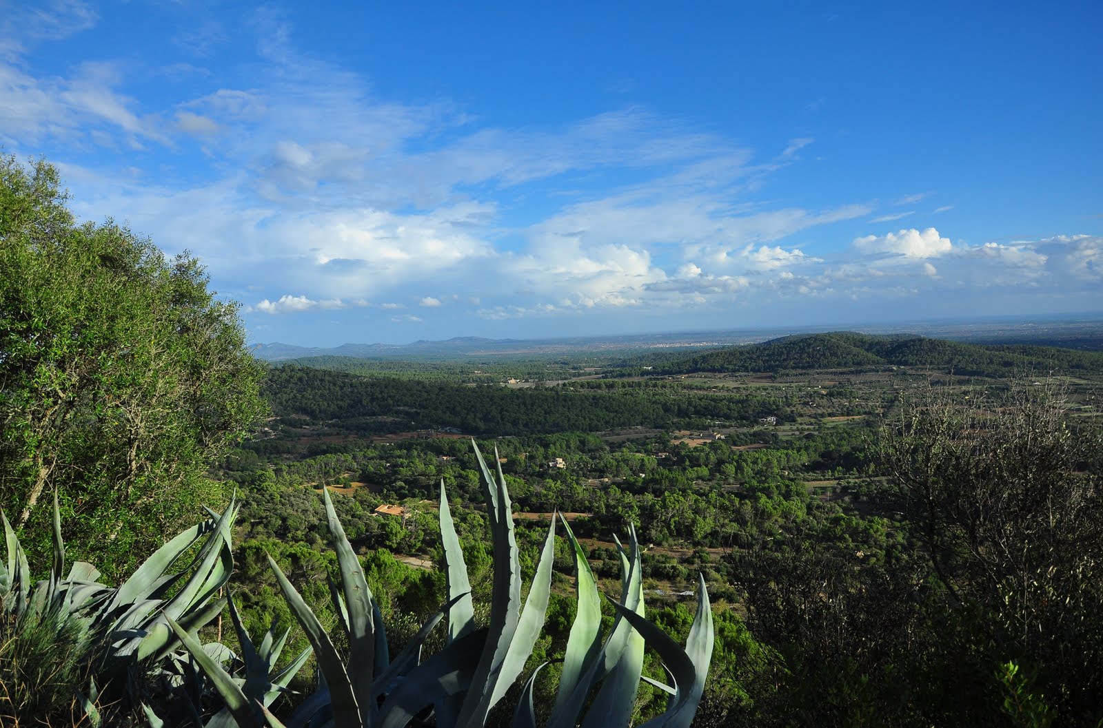 Portapapeles01.jpg