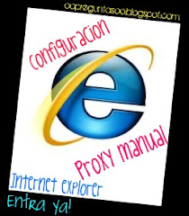 Proxy Manual Internet Explorer