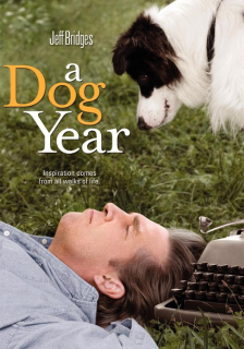 A Dog Year – DVDRIP LATINO
