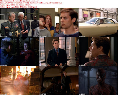 Spiderman+1+_www.blog-peliculas.com__s.j