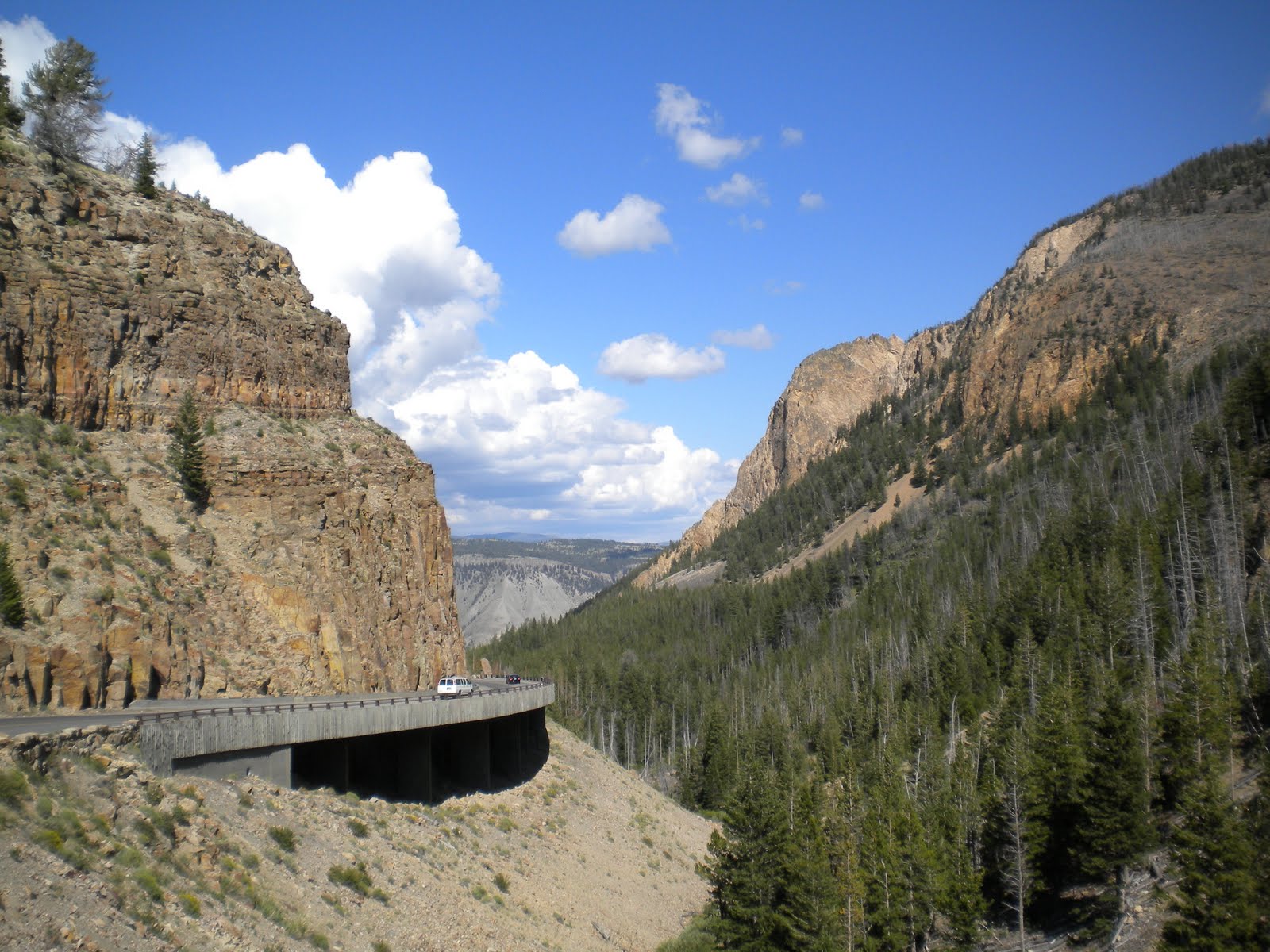 Simon and Alia's Tour de North America Yellowstone and Teton National