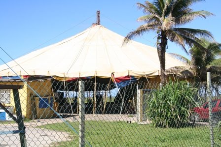 World Wide Timmerman Webbs: Brazilian Circus, Capoeira, and Condomble