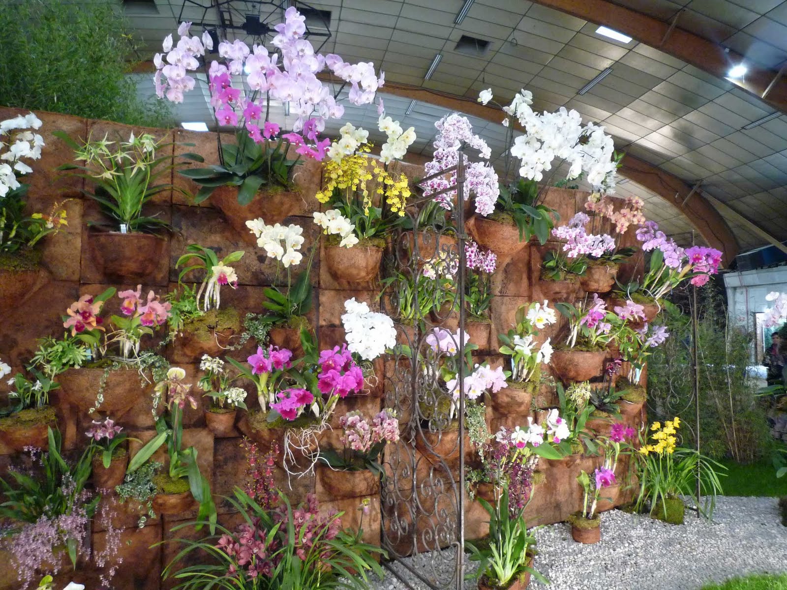 Date Des Prochaines Floralies De Bourg En Bresse