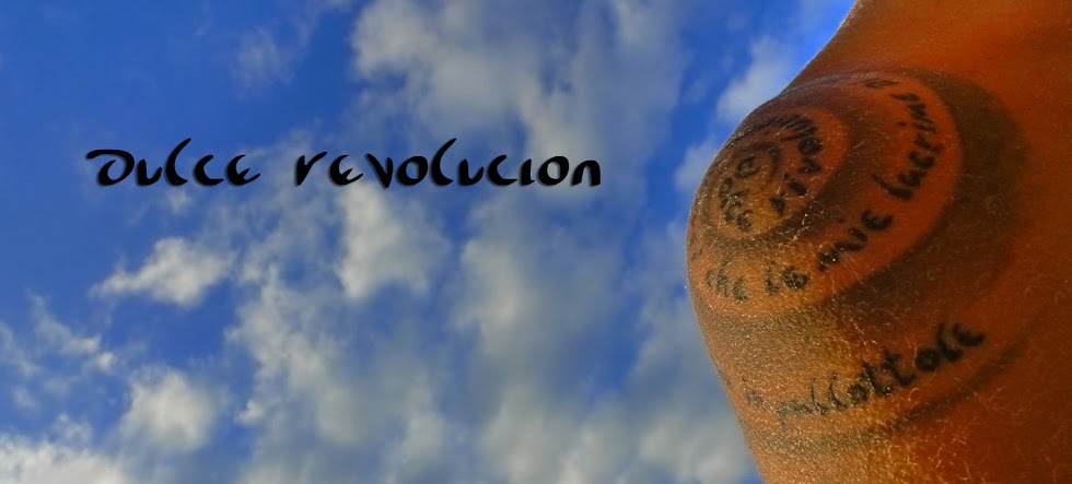 Dulce Revolucion