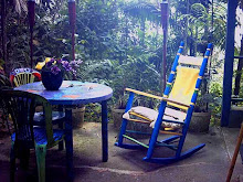A view of my rocking chair at the forest