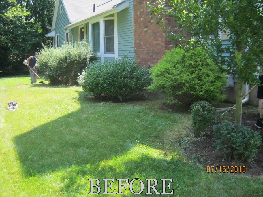 Bryk City Landscaping Bush Trimming, Edging, Mulch, Landscaping in