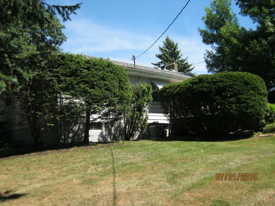 Bryk City Landscaping Bush Trimming in Latham, New York 12110