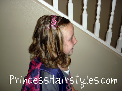 braided hair style for pictures