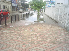 foto vista junto a grade da Amil (estacionamento) Rua Athaide Pimenta de Morães.