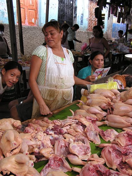 Pollo (Chicken) (Palma Ingles Photo)