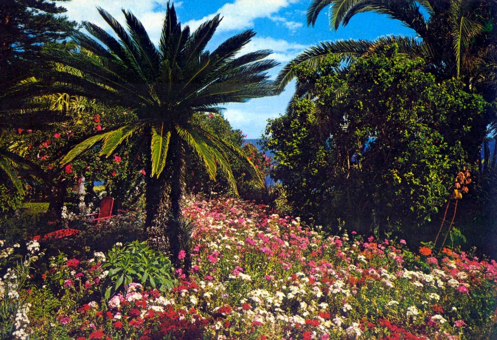 [Funchal+-+Jardim+Tropical+(p).jpg]
