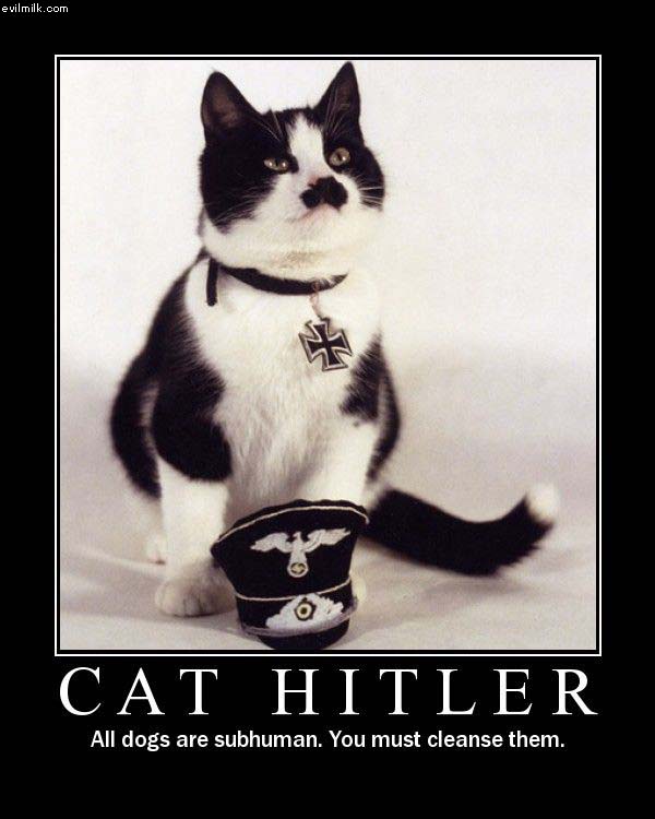 [cat+hitler+moustache+kucing+kumis+hitler.jpg]