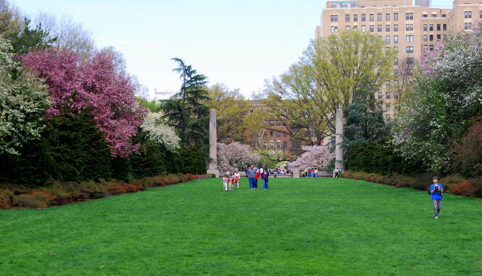 Mille Fiori Favoriti Magnolia Trees in the Brooklyn Botanic Garden