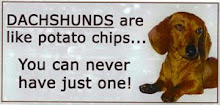 Dachshunds are like potato chips