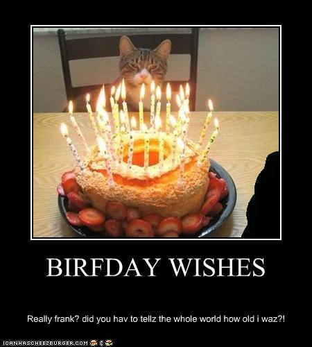 funny-pictures-cat-has-birthday.jpg