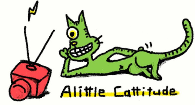 Alittle cattitude