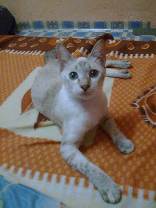 Suki In Memory(11 Sept 2009 )