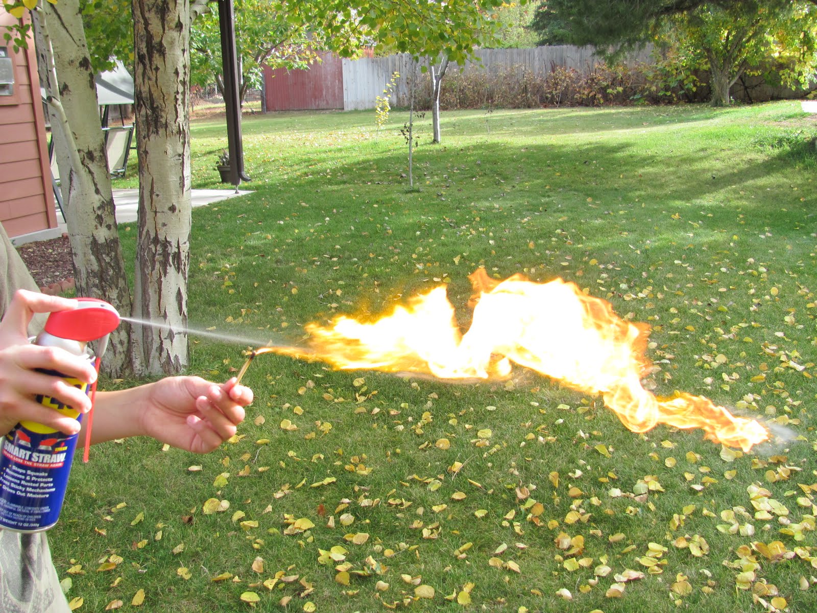 Brians Blog The Manly Art of Flamethrowing