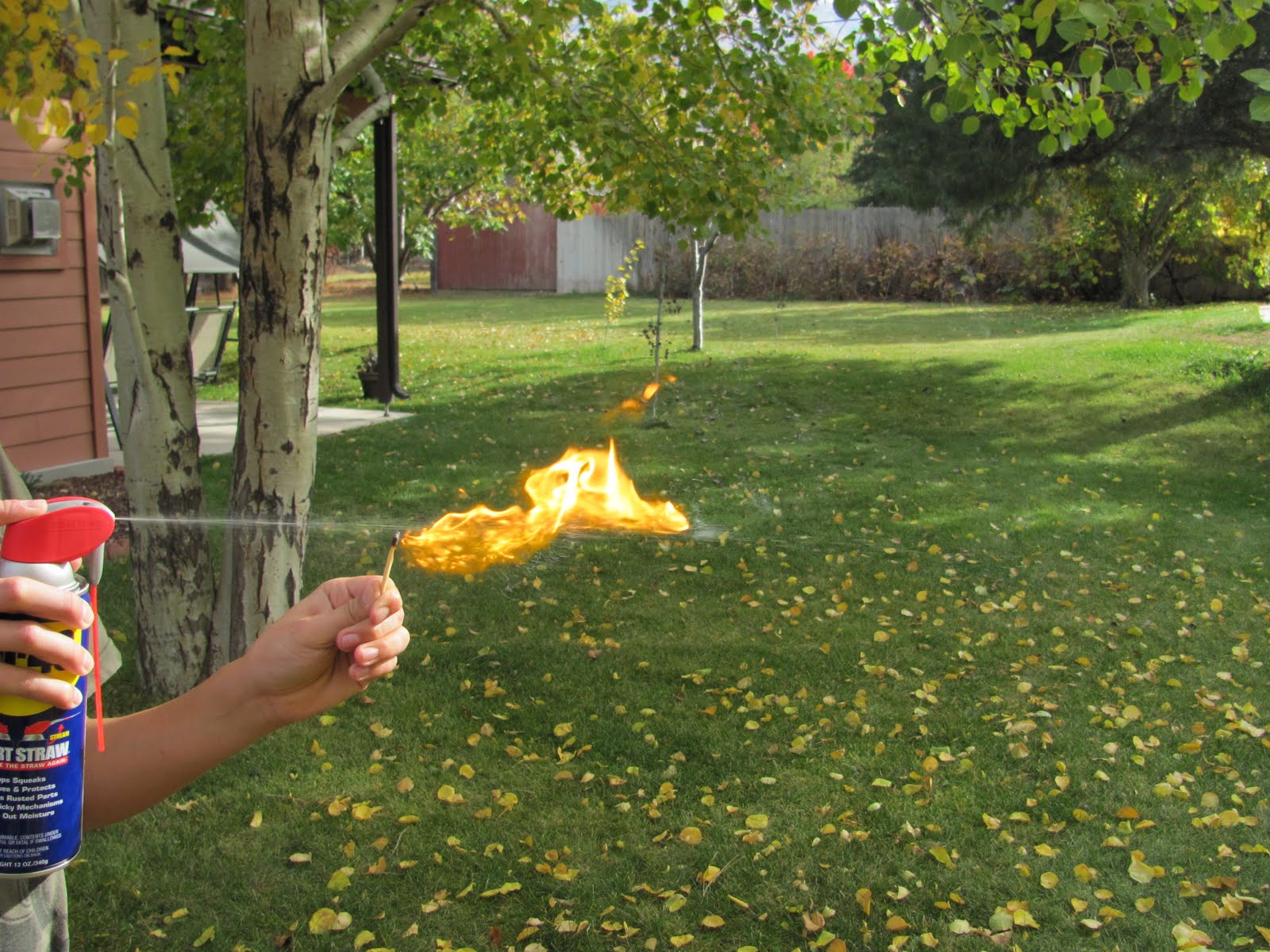 Brians Blog The Manly Art of Flamethrowing