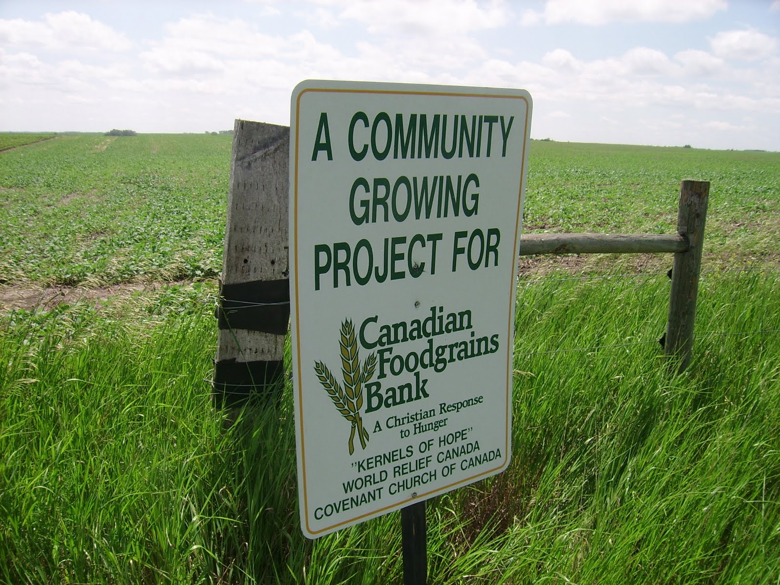 Kernels of Hope Jardine Family Farms Brookdale, Manitoba