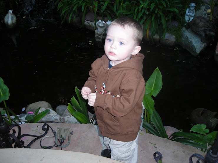 Can I Feed The Fish?
