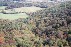 Normanskill Watershed Hills & Fields