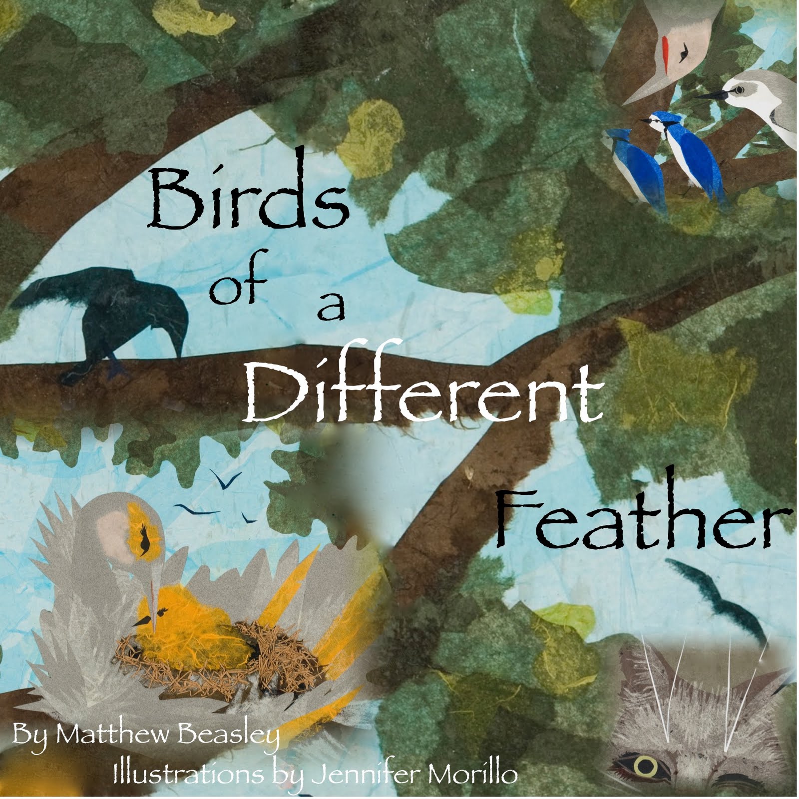 My Journey to Fit Birds of a Different Feather Book Review!