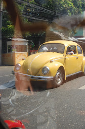 beetle yellow