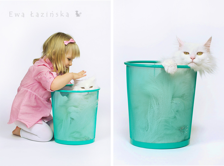 Best Places To Get Waxed In Michigan