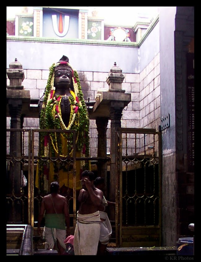 Trails Of A Traveler Kolli Hills A Total Recall Part 1