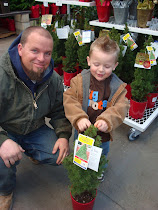 Picking out Christmas tree