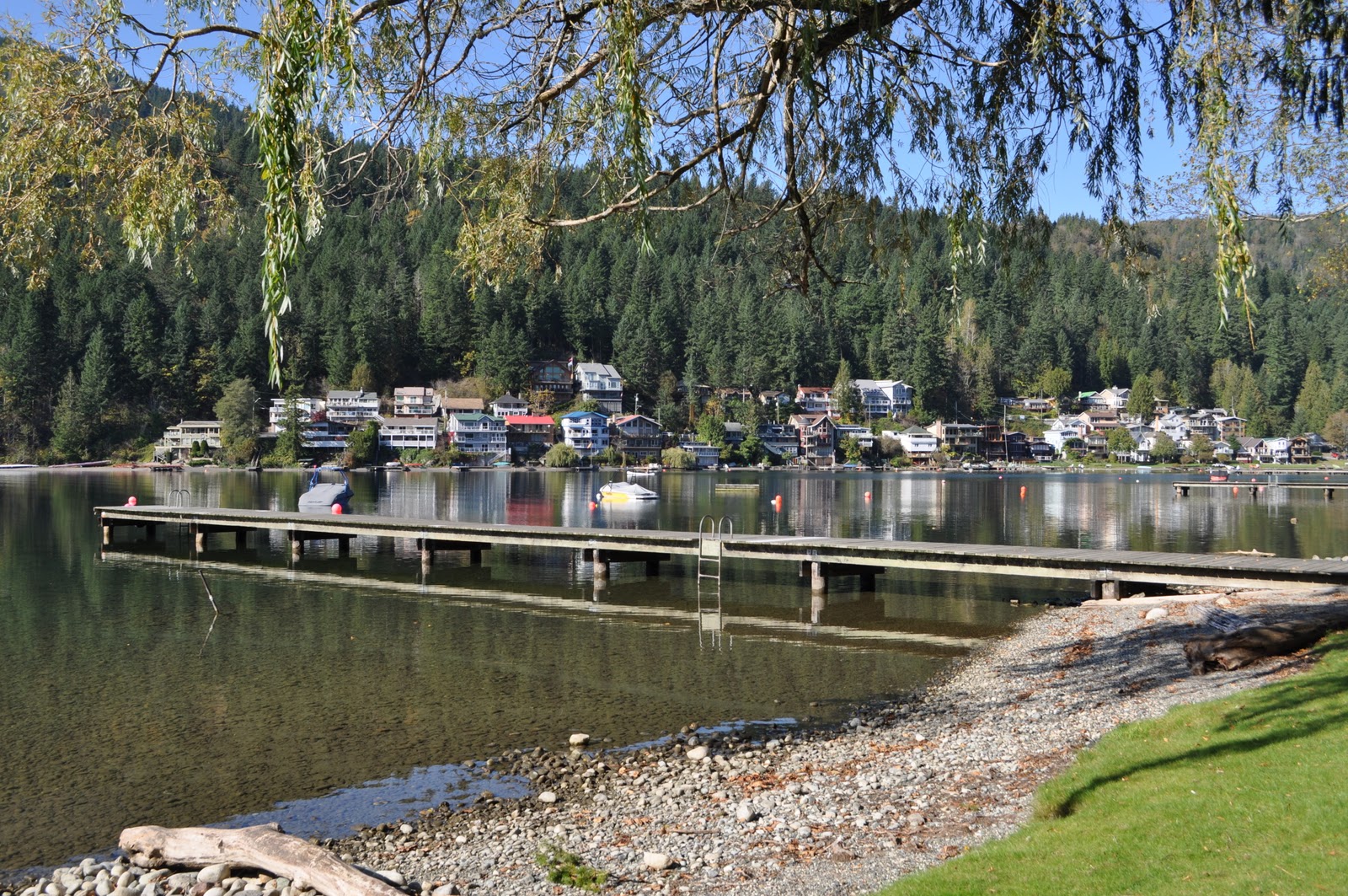 Exercise Maple Dragon 2 Cultus Lake (right by our cabins)