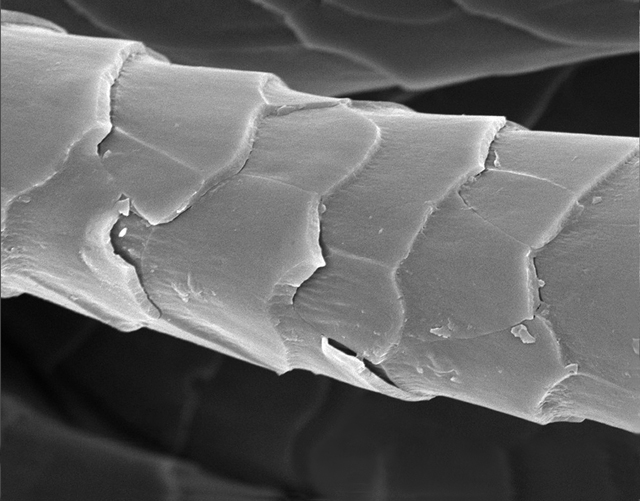 Natural Dyes Fibres the MAIWA BLOG