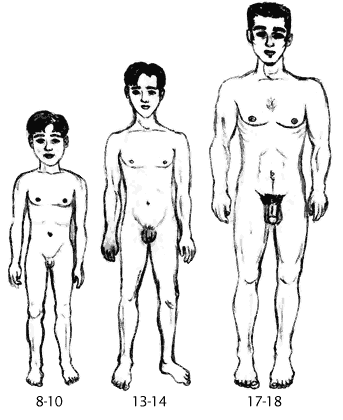 Areas Of The Body. In some areas of the body