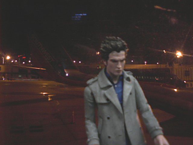 [morning+flight.jpg]