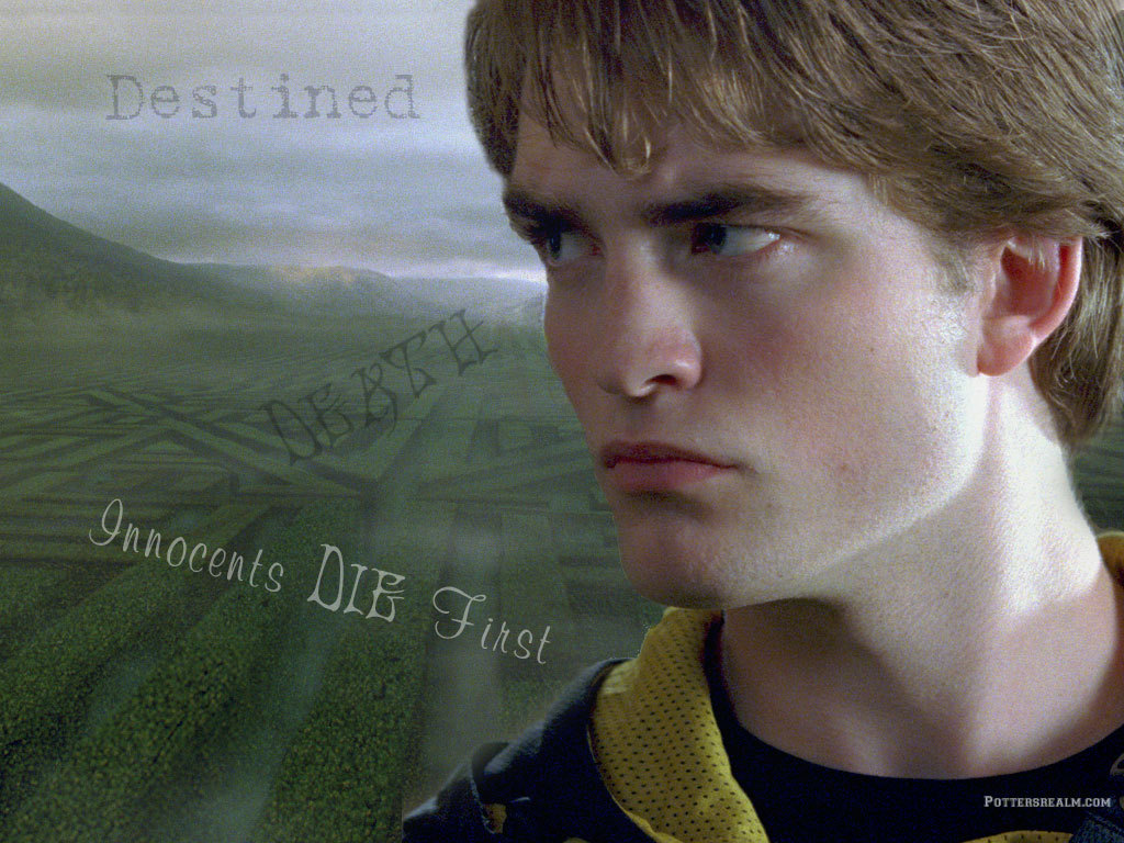 [Cedric-Diggory-cedric-diggory-1274144-1024-768.jpg]