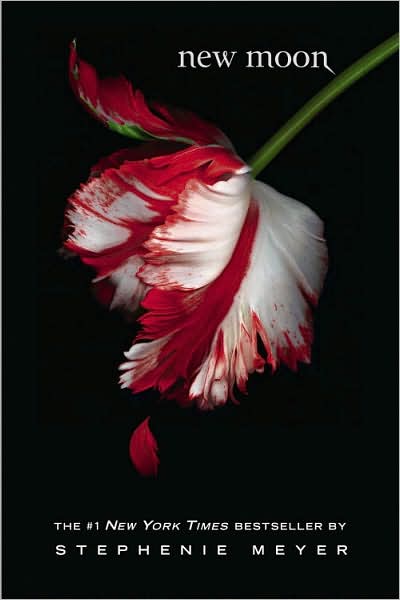[new_moon_twilight_sequel.jpg]