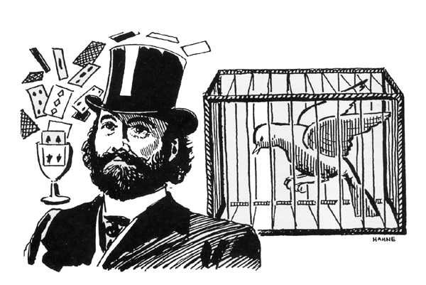 Carnegie Magic Detective Vanishing Birdcage