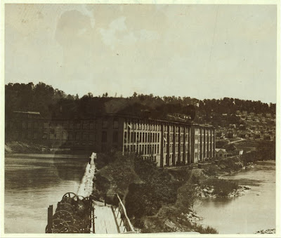 Ragdoll Cats For Sale Suzuki Gz 250 Hamilton Beach Brew Station